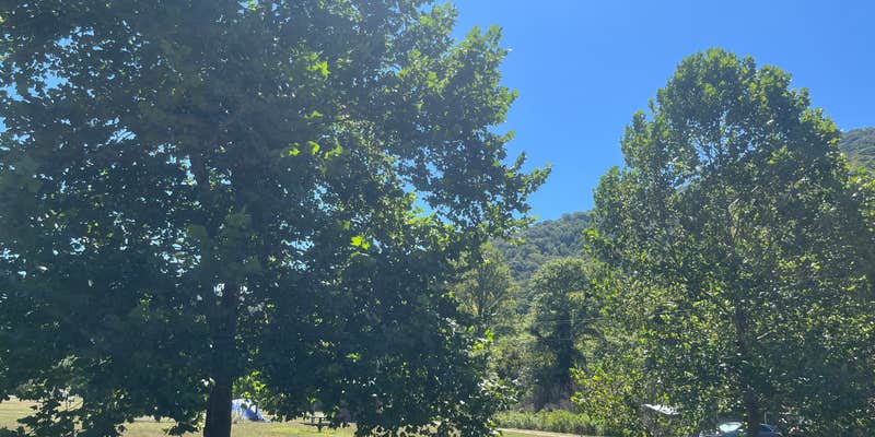 Camper submitted image from Whispering Pines Family Campground