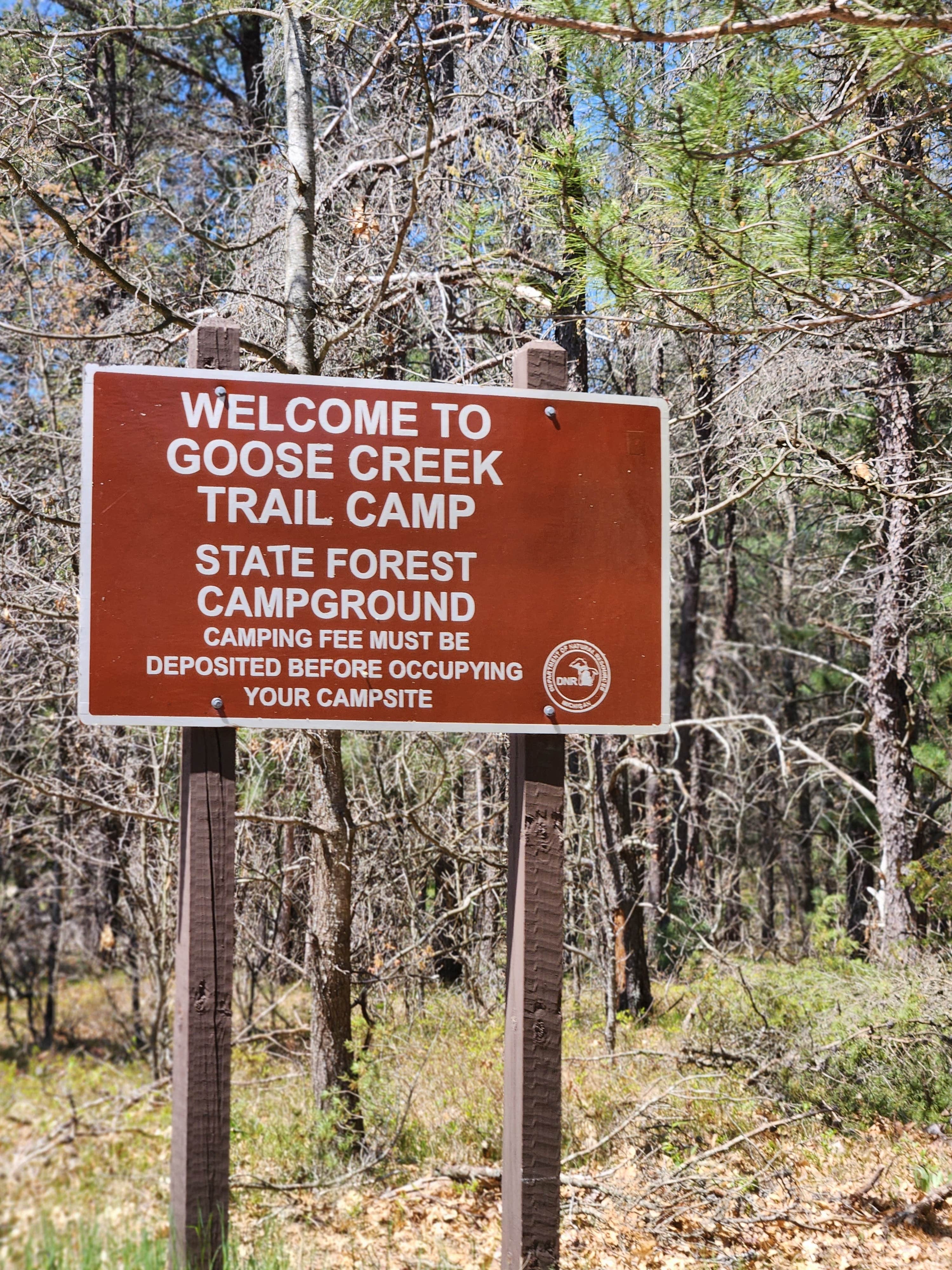Camper submitted image from Whispering Pines Resort - 2