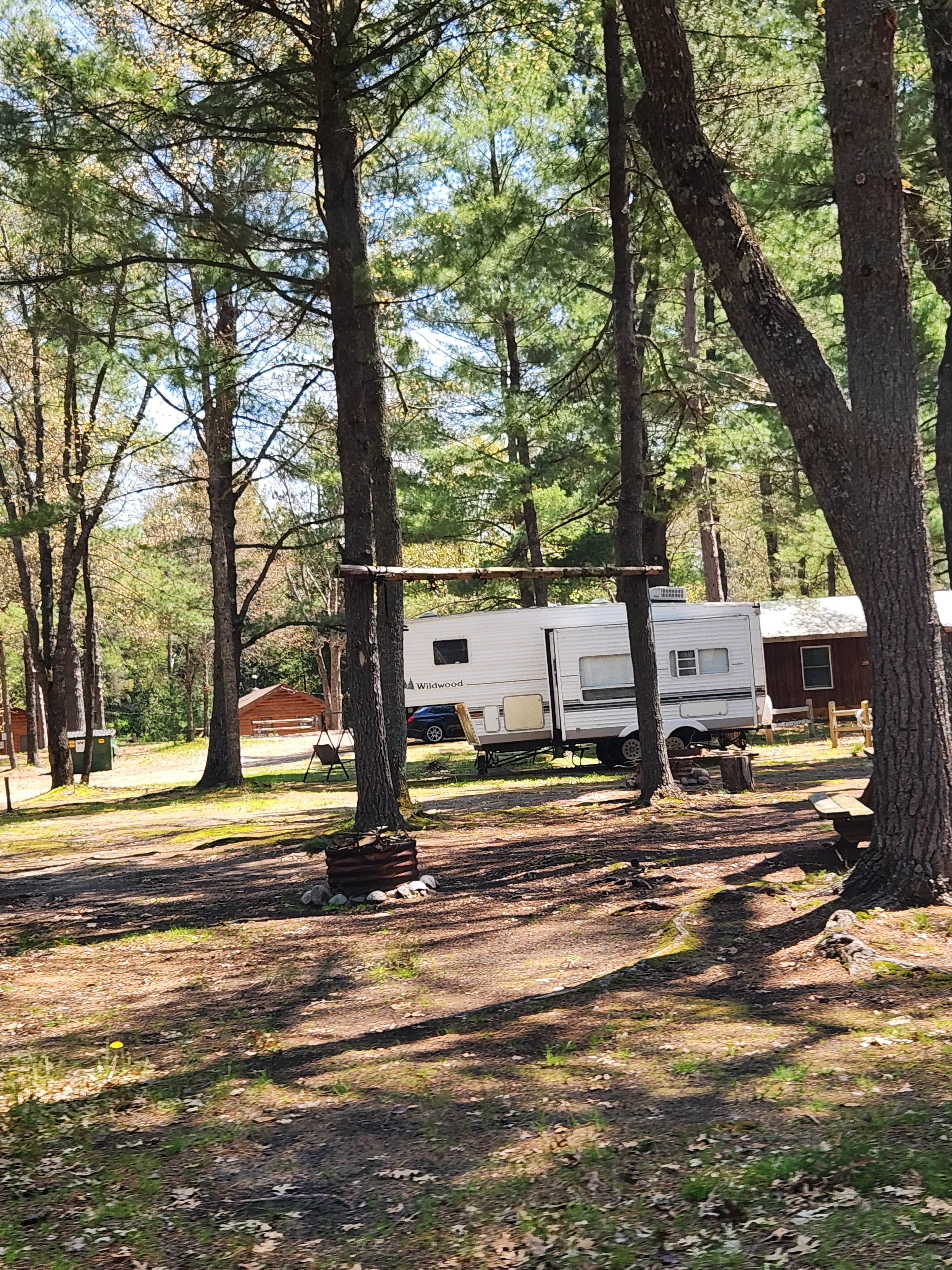 Camping near Hartwick Pines State Park Campground: Whispering Pines Resort, Frederic, Michigan