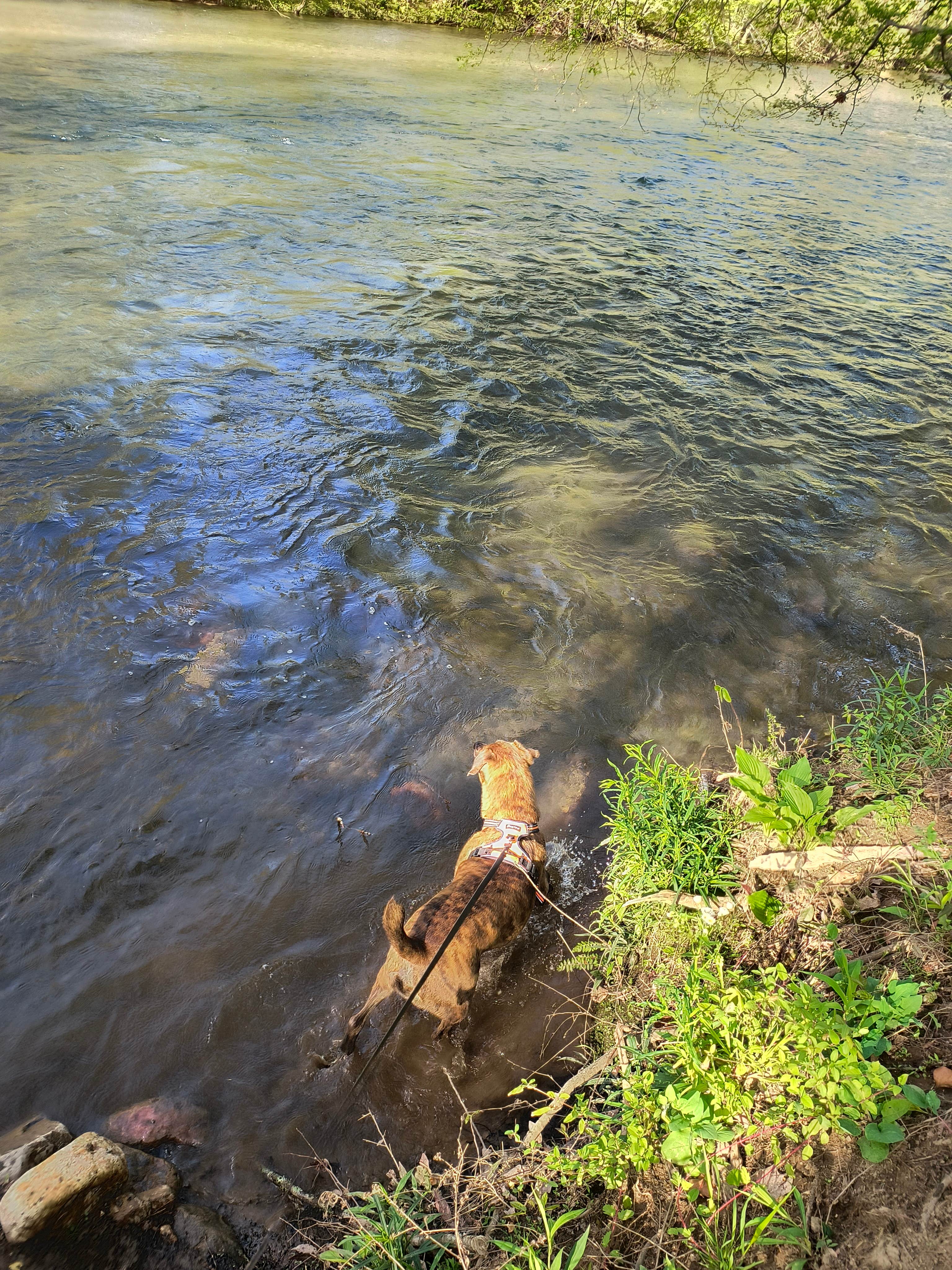 Camper submitted image from Whispering River RV Resort - 4