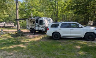 Greg S.'s photo of camping with pets at Whispering Surf Campground at Bass Lake near Custer, MI