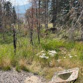 Review photo of Whistlers Campground by Kyle K., July 25, 2026