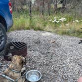 Review photo of Whistlers Campground by Kyle K., July 25, 2026