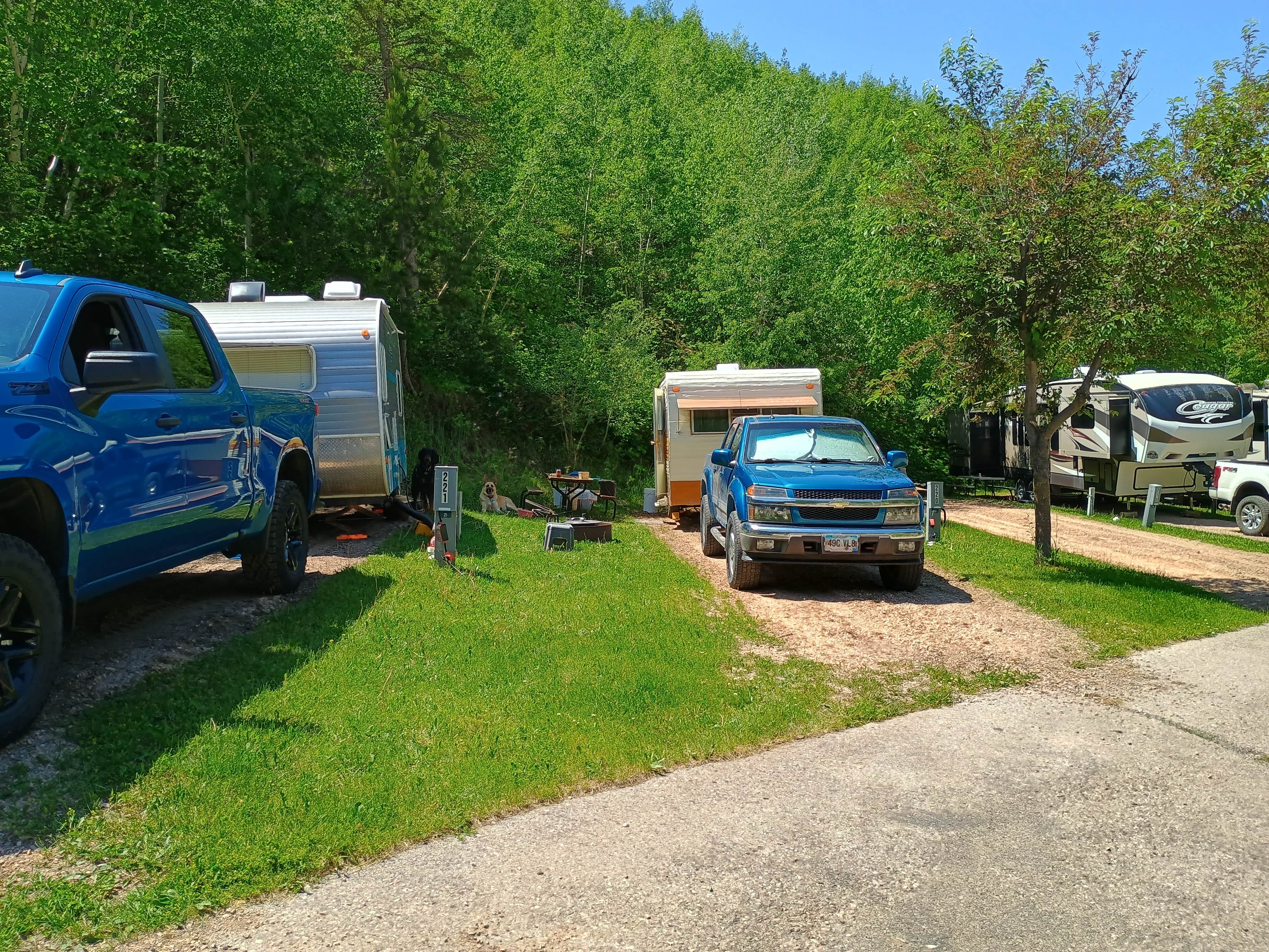 Leslie B.'s photo of camping with pets at Whistler Gulch Campground & RV Park near Spearfish, SD
