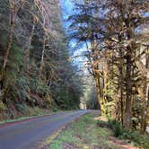 Review photo of Whitcomb Creek County Park by Lainey P., April 20, 2026