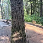 Review photo of Whitcomb Creek County Park by Joseph C., August 23, 2026