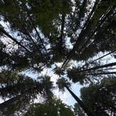 Review photo of Whitcomb Creek County Park by Joseph C., August 23, 2026