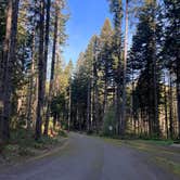 Review photo of Whitcomb Creek County Park by Lainey P., April 20, 2026