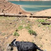 Review photo of Whitcomb Creek County Park by Joseph C., August 23, 2026