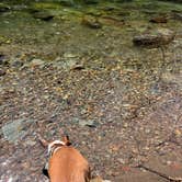 Review photo of Whitcomb Creek County Park by Lainey P., April 20, 2026