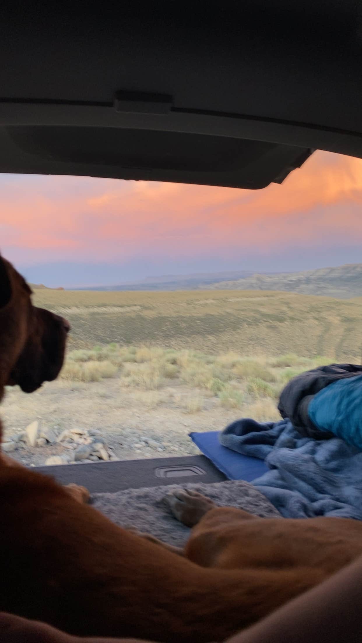 Julia F.'s photo of camping with pets at White Mountain Road near Rock Springs, WY