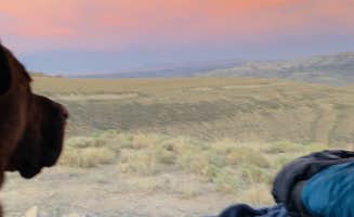 Julia F.'s photo of camping with pets at White Mountain Road near Superior, WY