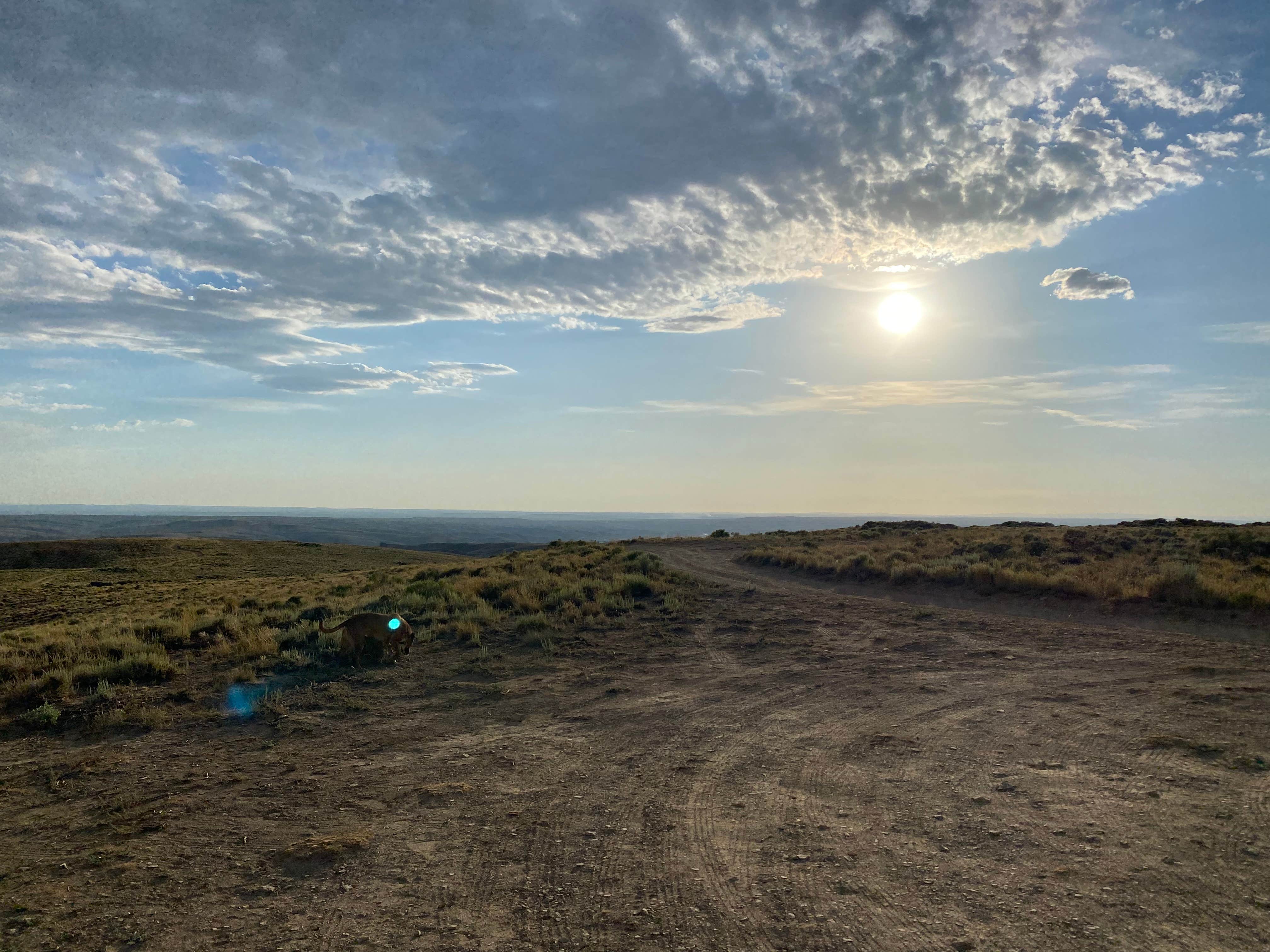 Camper submitted image from White Mountain Road - 5