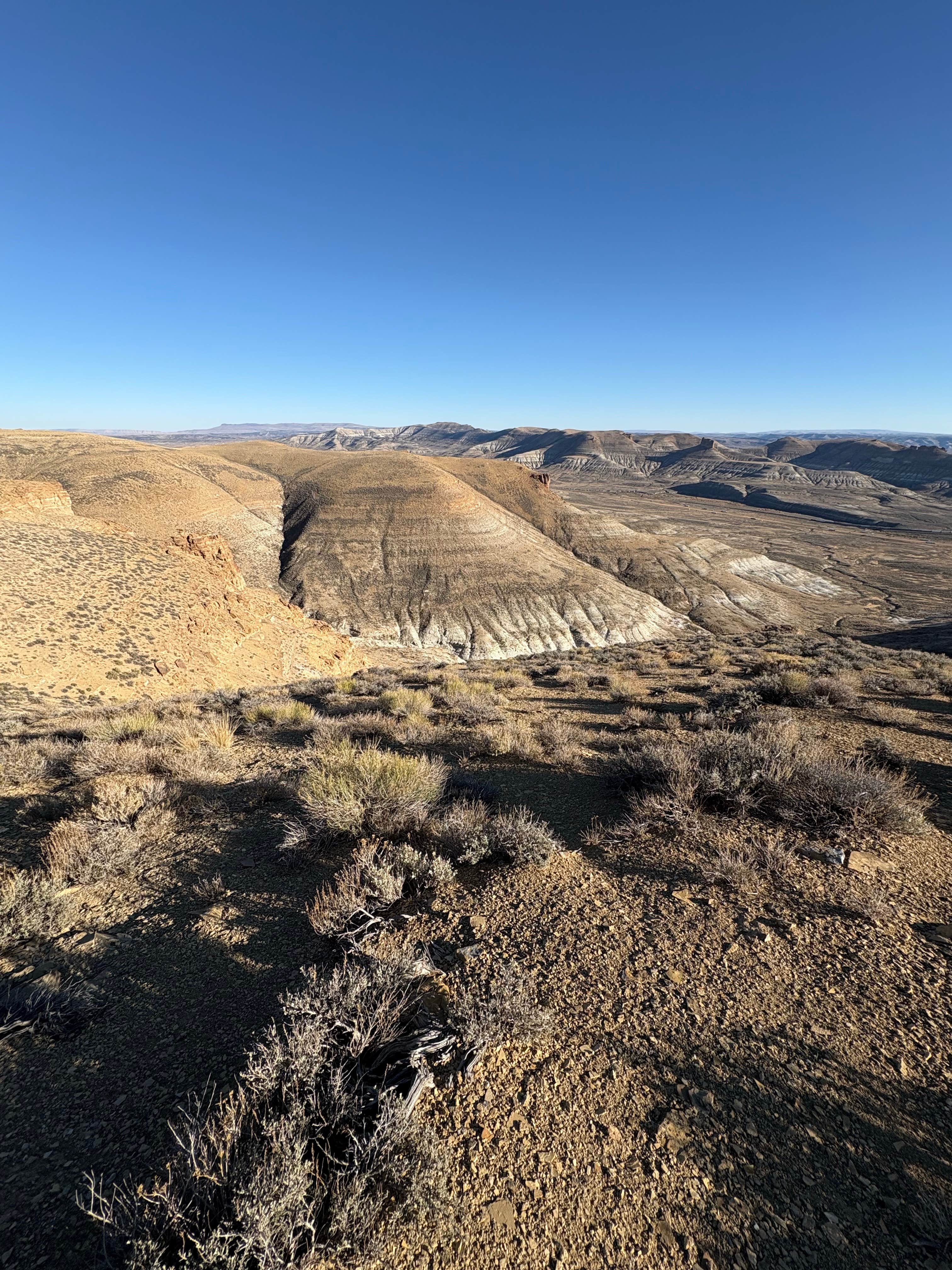 Camper-submitted photo at White Mountain Road near Rock Springs, WY
