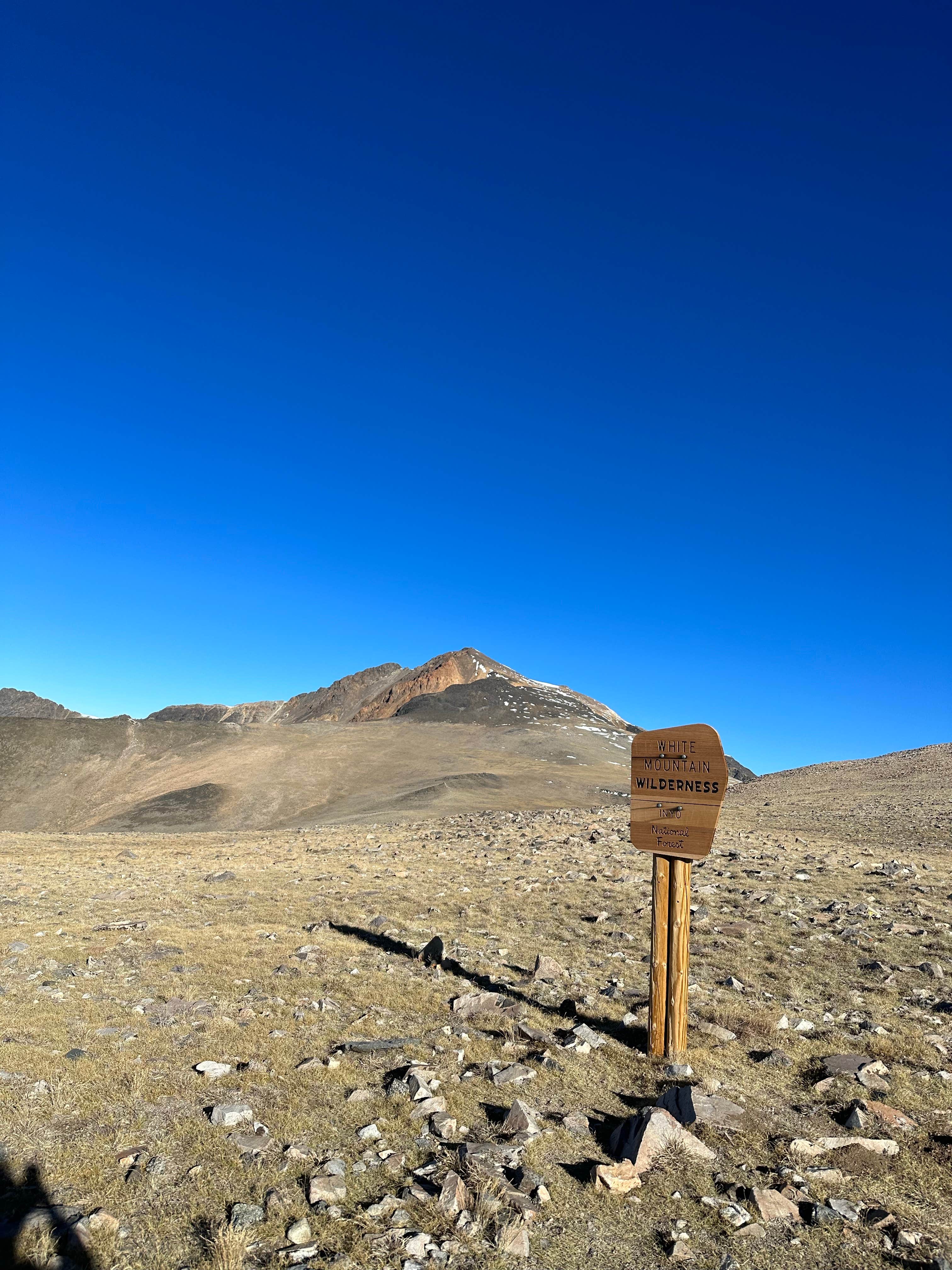 Camper-submitted photo at White Mountains Despersed near Big Pine, CA