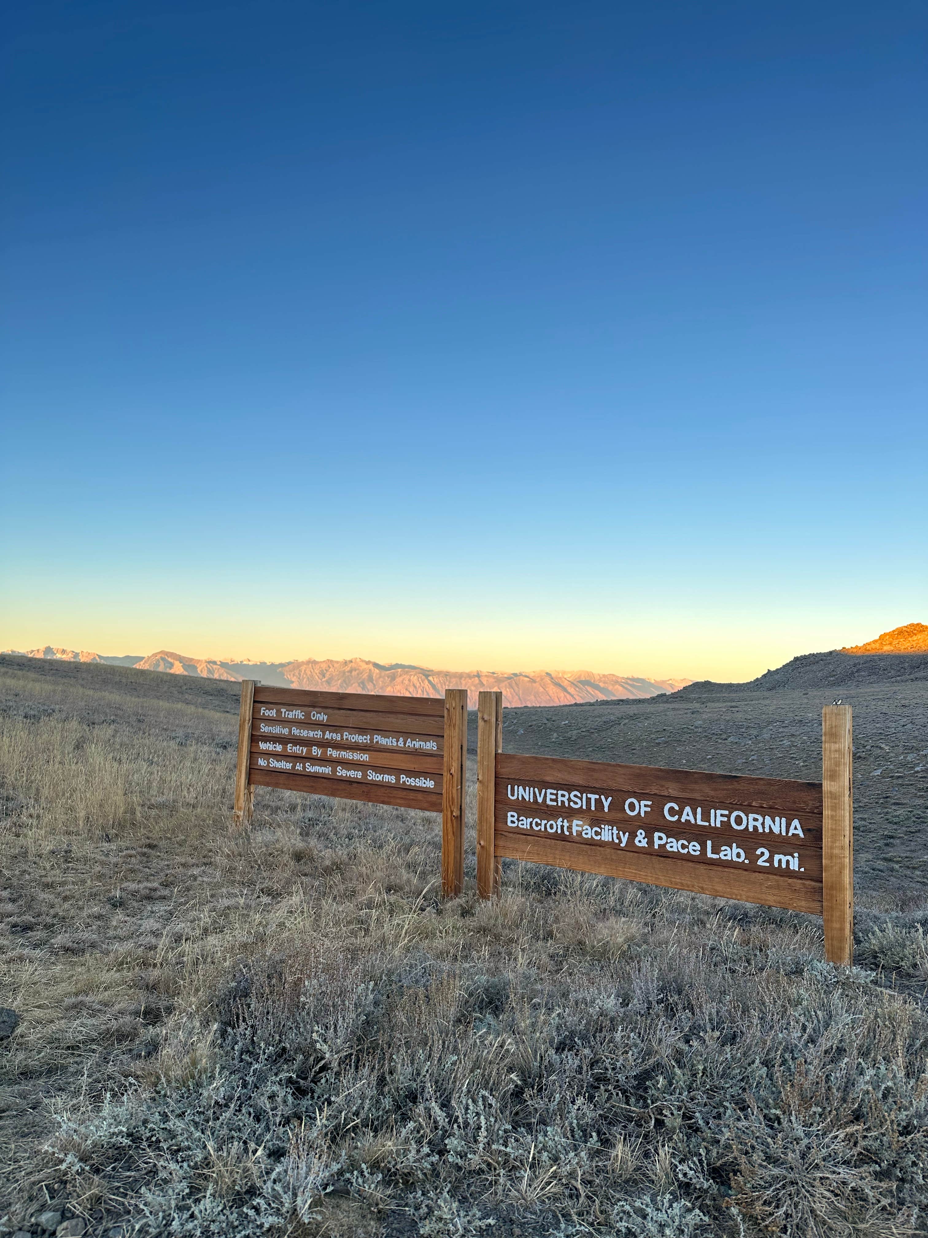 Camper-submitted photo at White Mountains Despersed near Big Pine, CA
