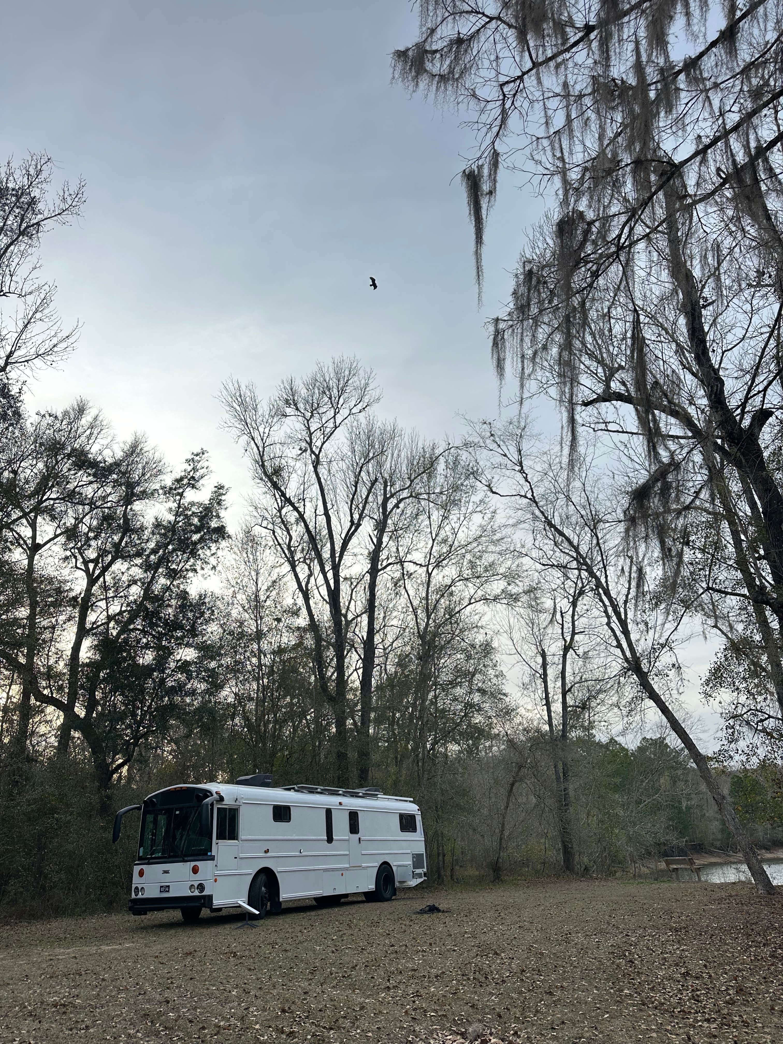 Camping near Cliff Lake Hunt Camp in Apalachicola Forest: White Oak Landing and Hunt Camp, Sumatra, Florida