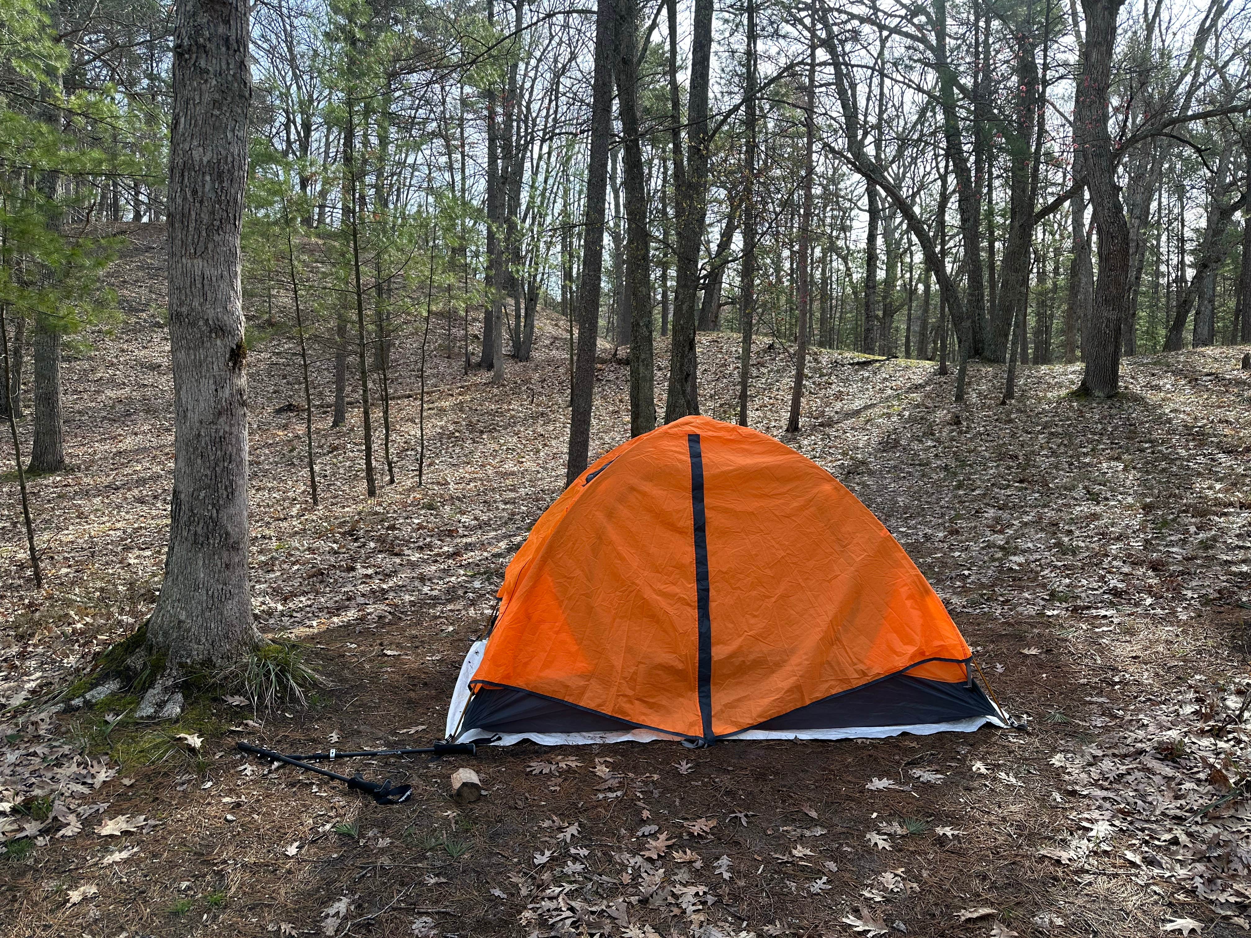 Ryan M.'s photo of tent camping at White Pine Backcountry Camp — Sleeping Bear Dunes National Lakeshore near Sleeping Bear Dunes
