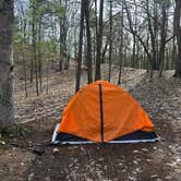 Review photo of White Pine Backcountry Camp — Sleeping Bear Dunes National Lakeshore by Ryan M., May 4, 2026