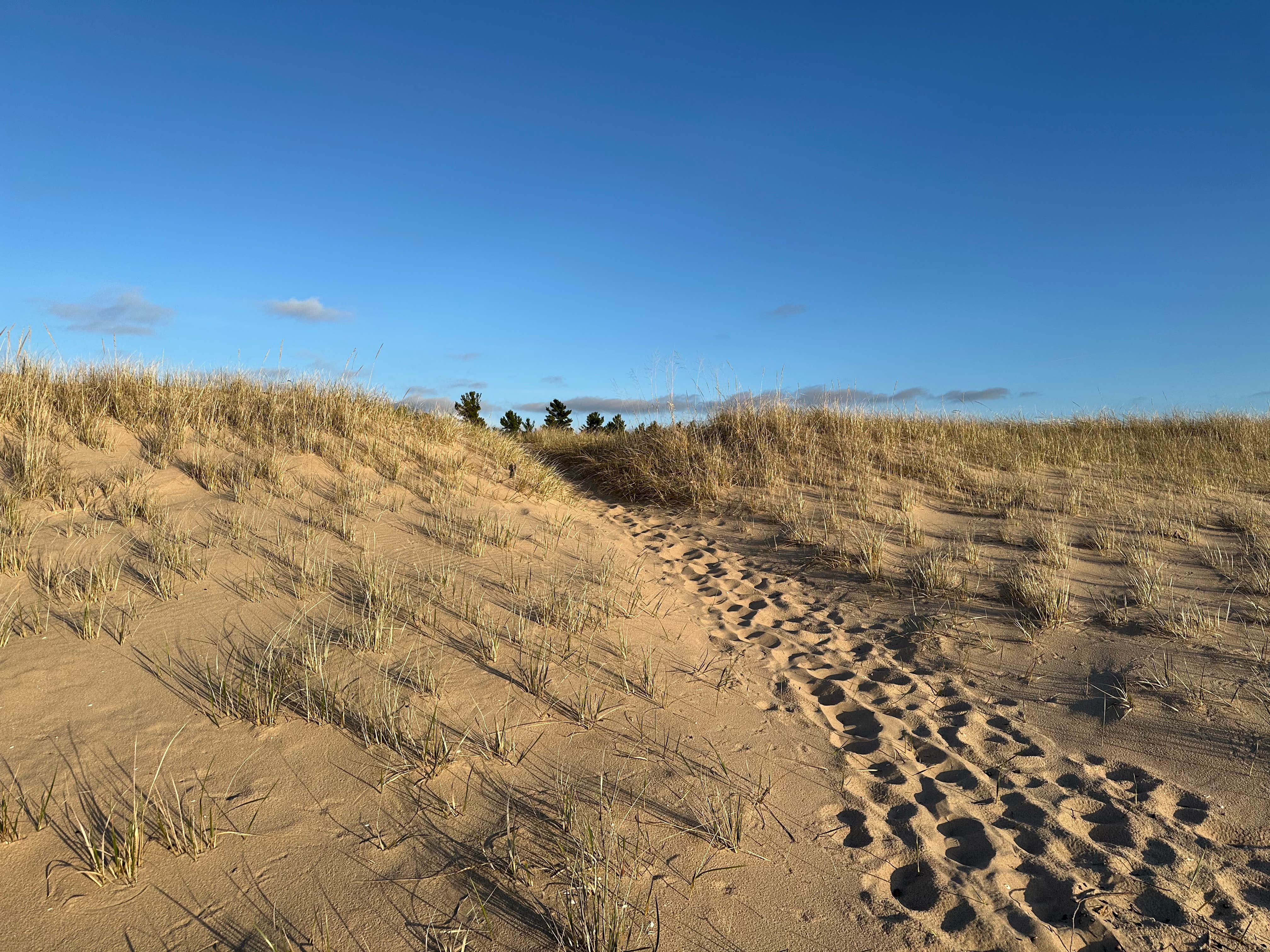 Camper-submitted photo at White Pine Backcountry Camp — Sleeping Bear Dunes National Lakeshore near Sleeping Bear Dunes