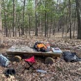 Review photo of White Pine Backcountry Camp — Sleeping Bear Dunes National Lakeshore by Ryan M., May 4, 2026