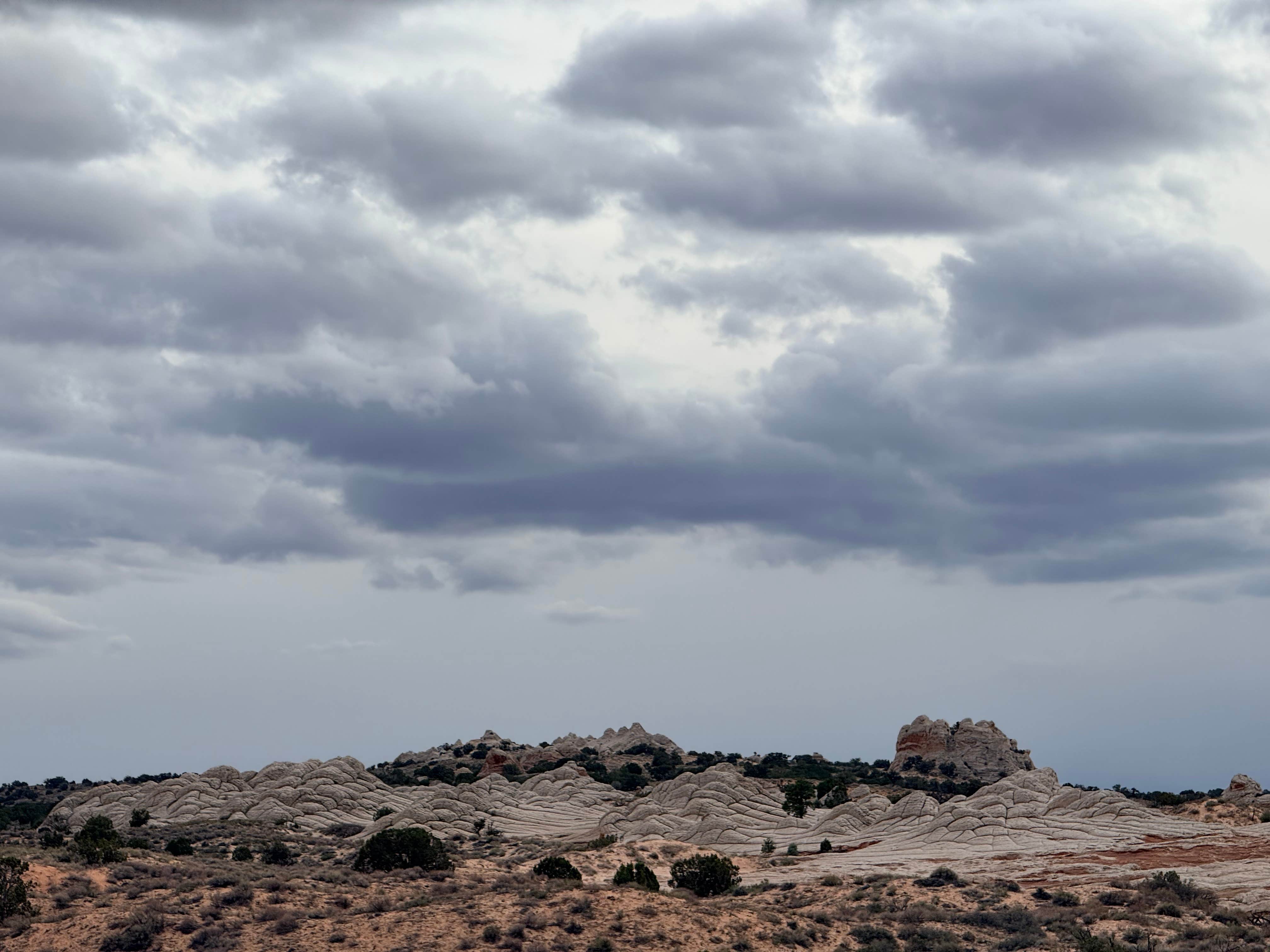 Camper-submitted photo at White Pocket Camping Area near Marble Canyon, AZ