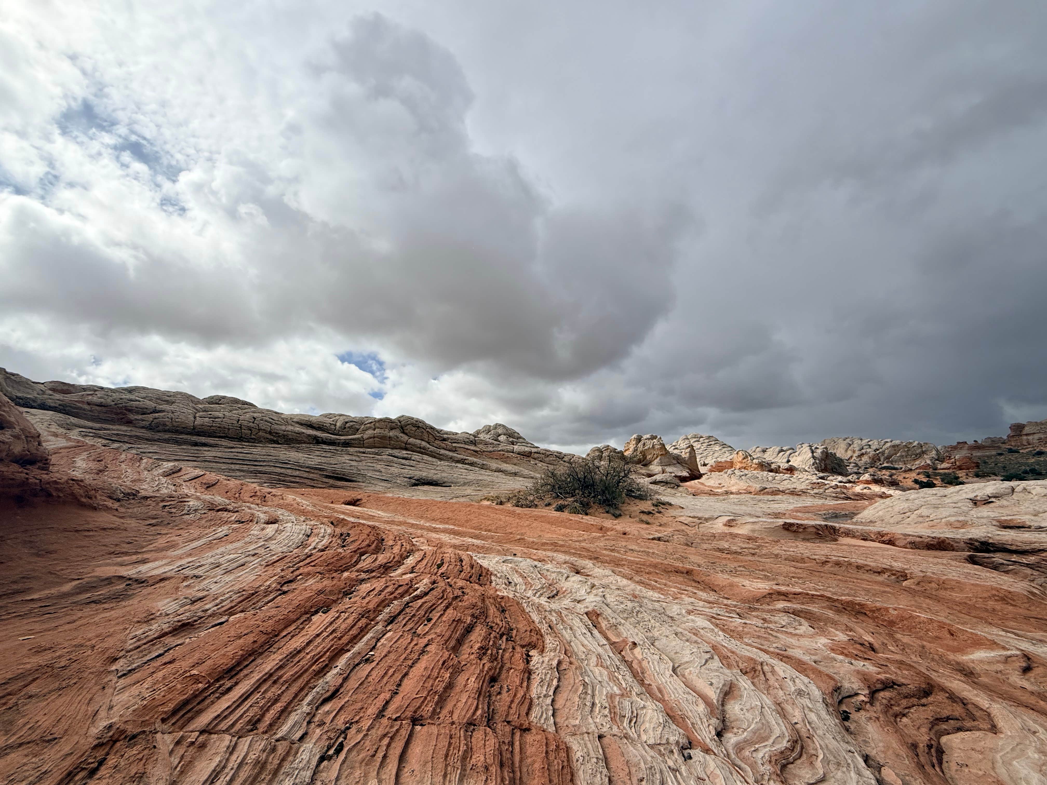 Camping near Paria Station Camping: White Pocket Camping Area, Big Water, Arizona