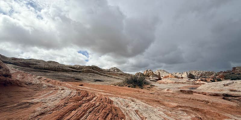 Camper submitted image from White Pocket Camping Area