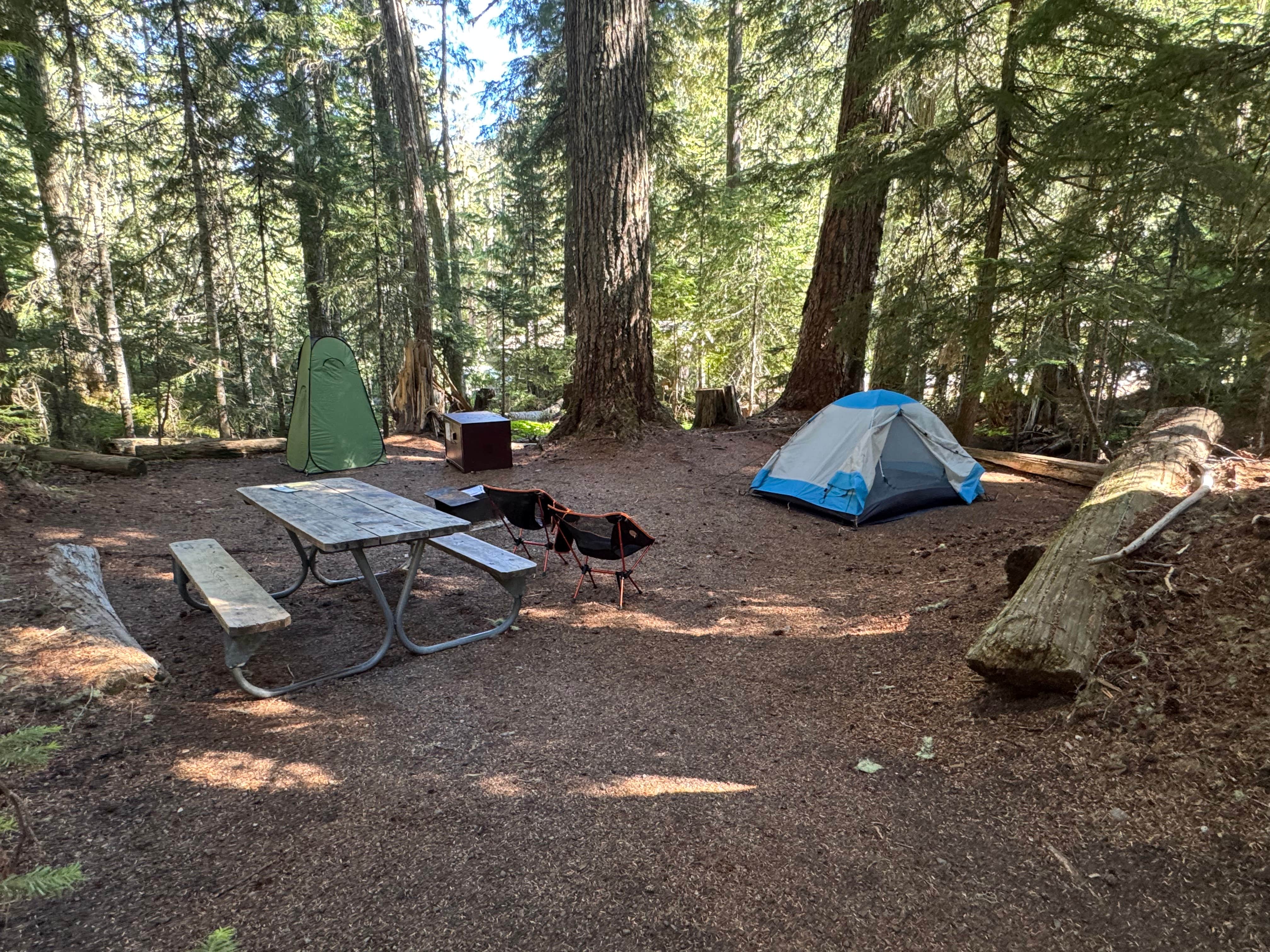 Jen W.'s photo at White River Campground — Mount Rainier National Park near Mount Rainier National Park