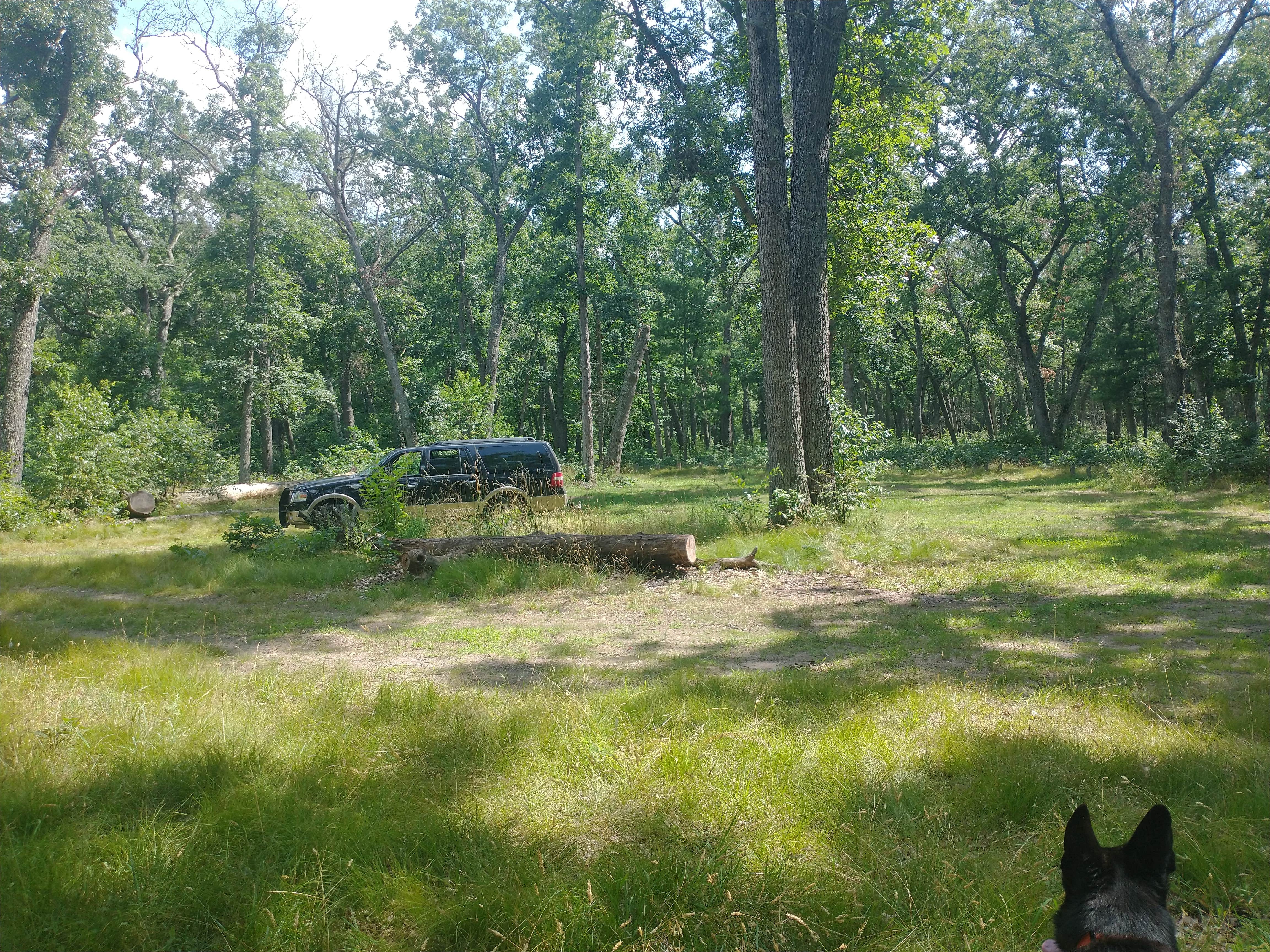 Camper-submitted photo at White River Campsite #1 near Pentwater, MI