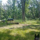 Review photo of White River Campsite #1 by Kendra H., July 15, 2024