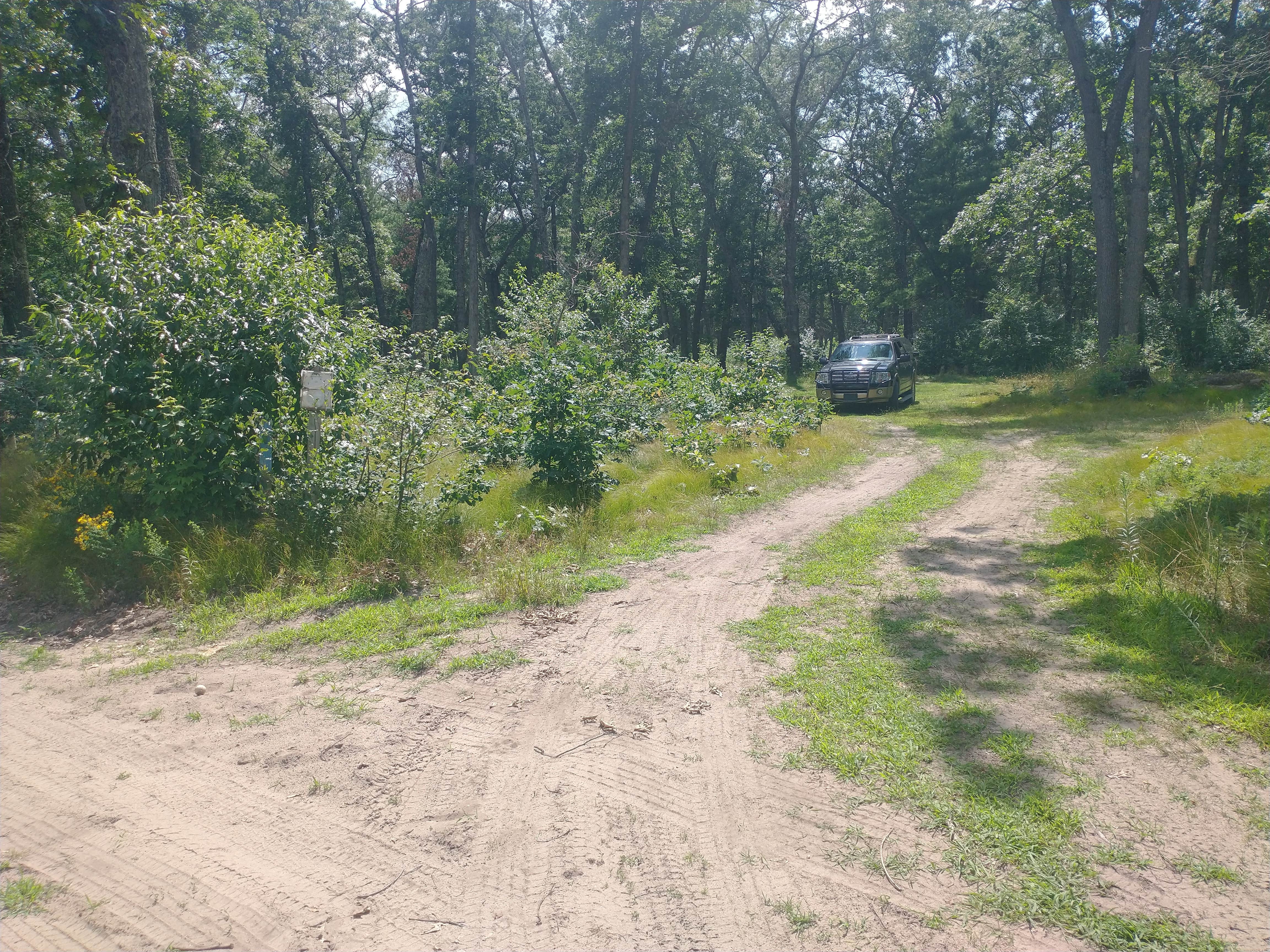Camper-submitted photo at White River Campsite #1 near Pentwater, MI