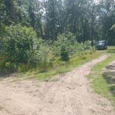 Review photo of White River Campsite #1 by Kendra H., July 15, 2024