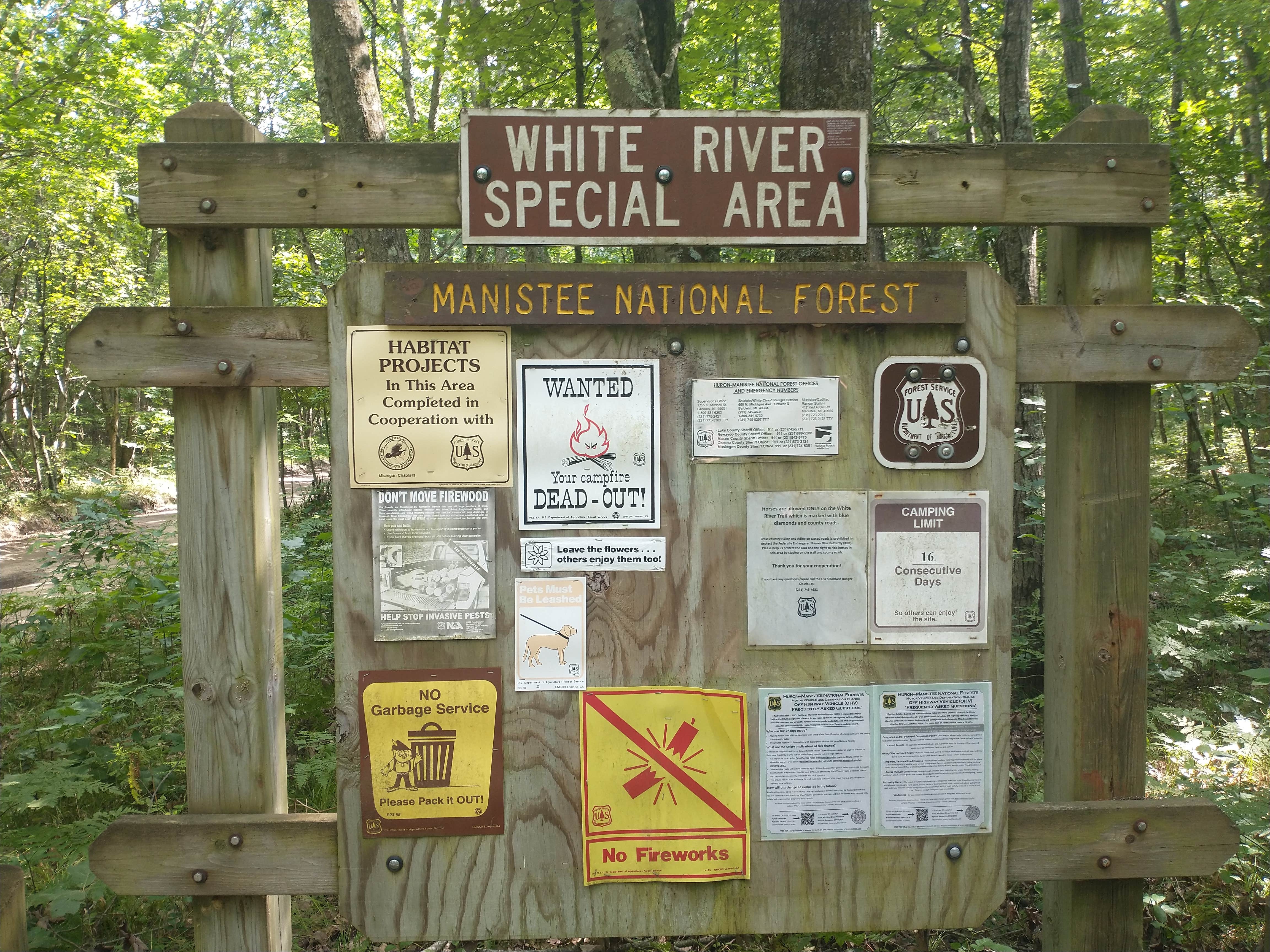 Camper-submitted photo at White River Campsite #1 near Pentwater, MI
