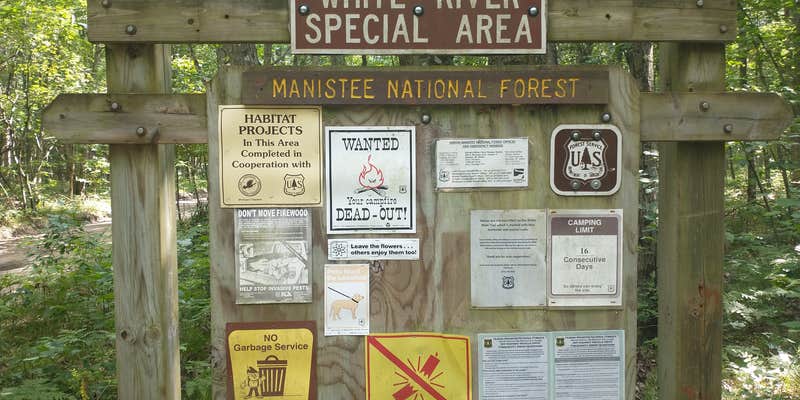 Camper submitted image from White River Campsite #1