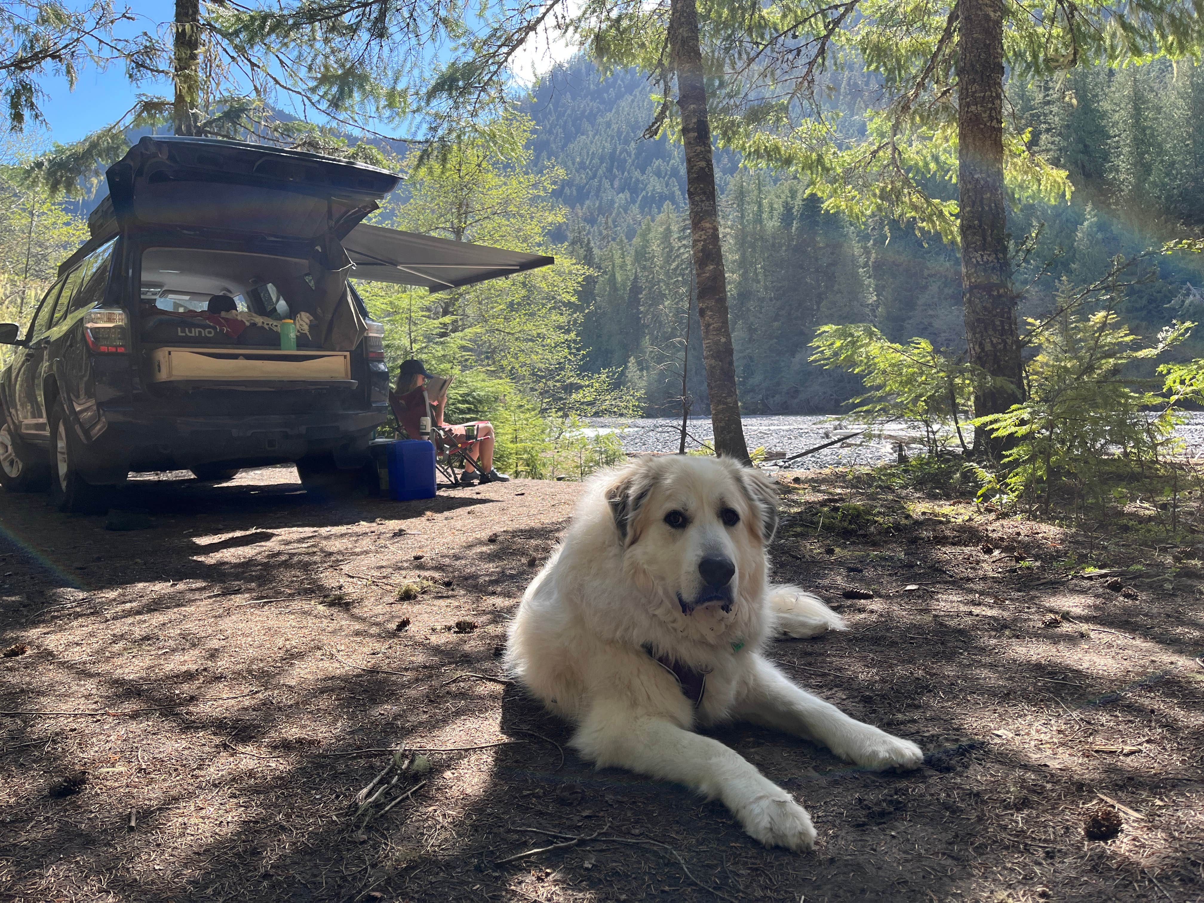 Camper-submitted photo at White River Dispersed Camping near Lake Tapps, WA