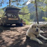 Review photo of White River Dispersed Camping by Michael F., May 15, 2024