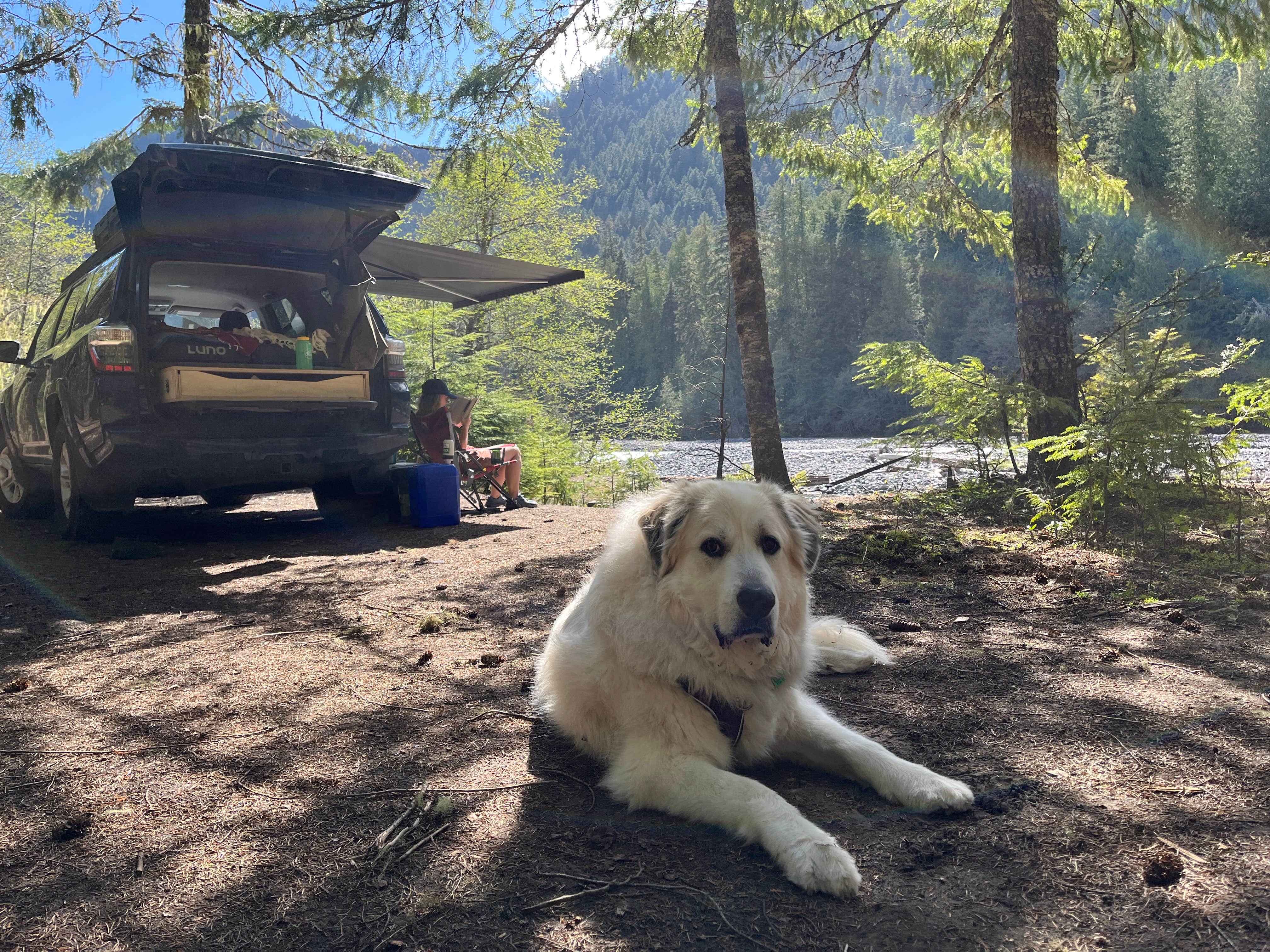 Camper submitted image from White River Dispersed Camping - 1