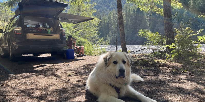 Camper submitted image from White River Dispersed Camping