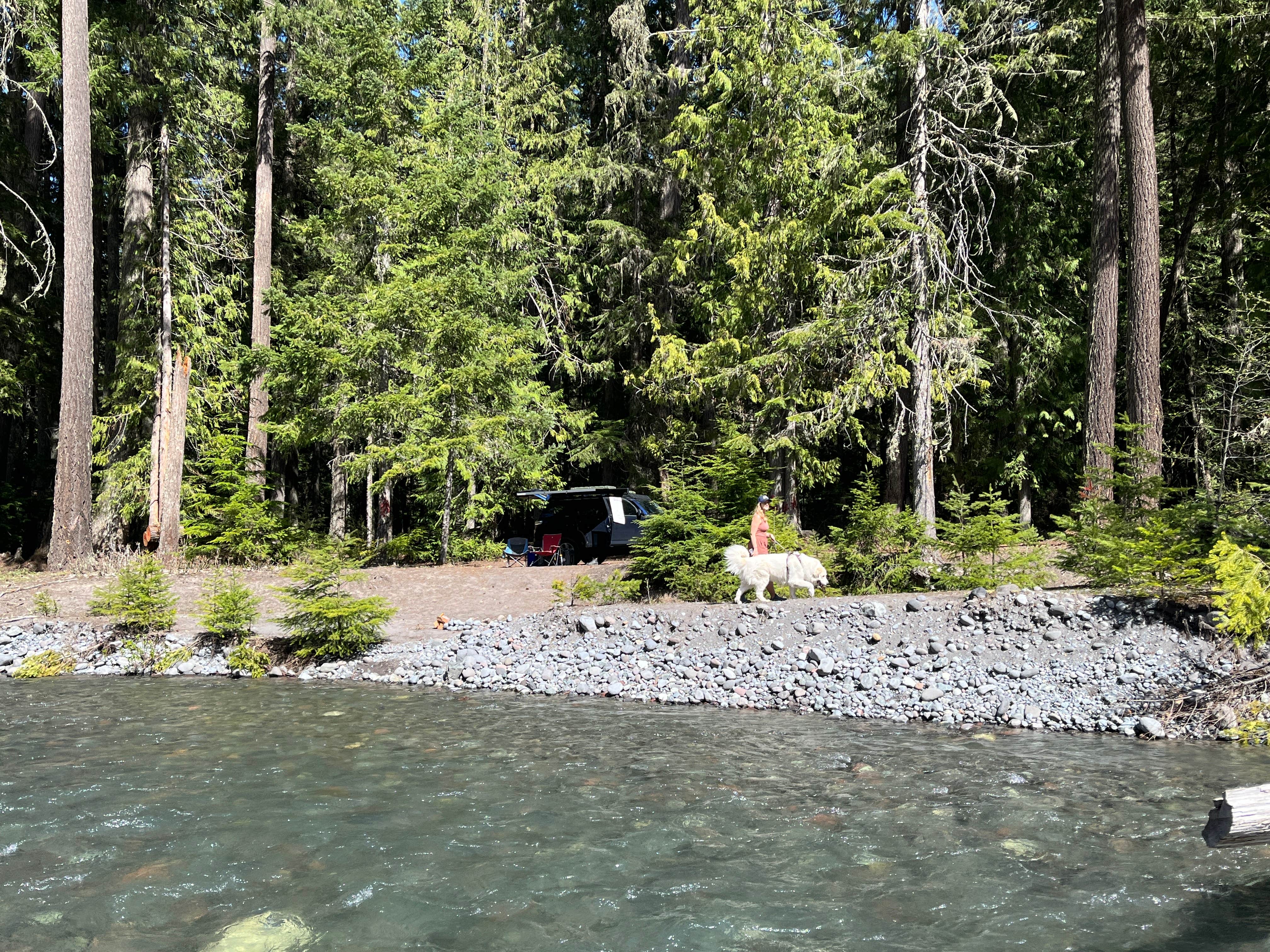 Camper submitted image from White River Dispersed Camping - 4