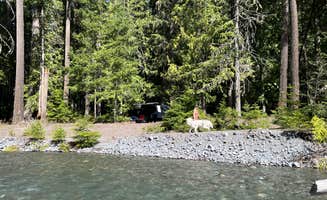 Michael F.'s photo of camping with pets at White River Dispersed Camping near Goose Prairie, WA