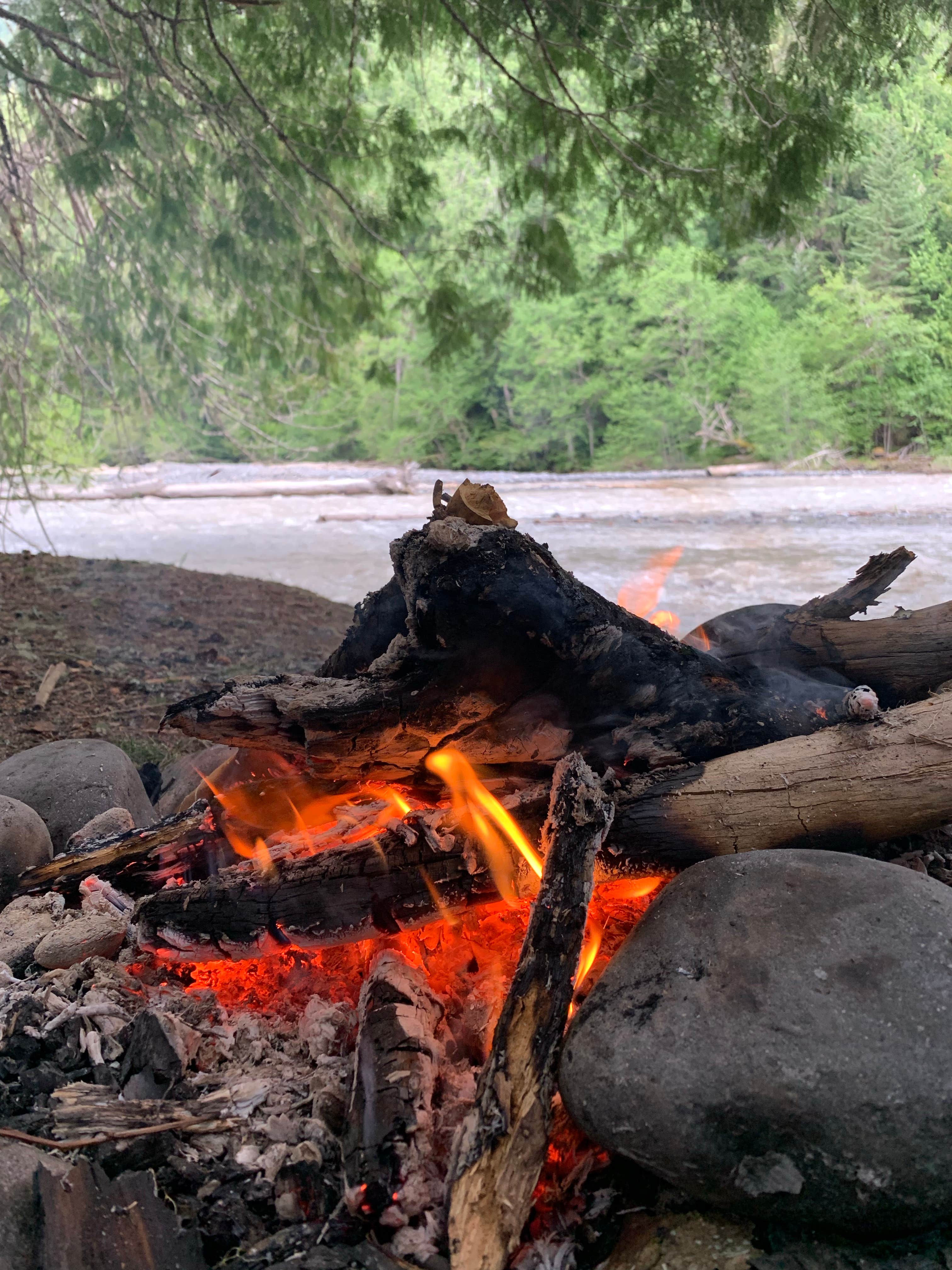 Camper-submitted photo at White River Dispersed Camping near Lake Tapps, WA