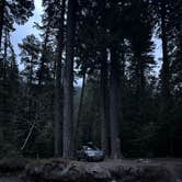 Review photo of White River Dispersed Camping by P J., May 14, 2025