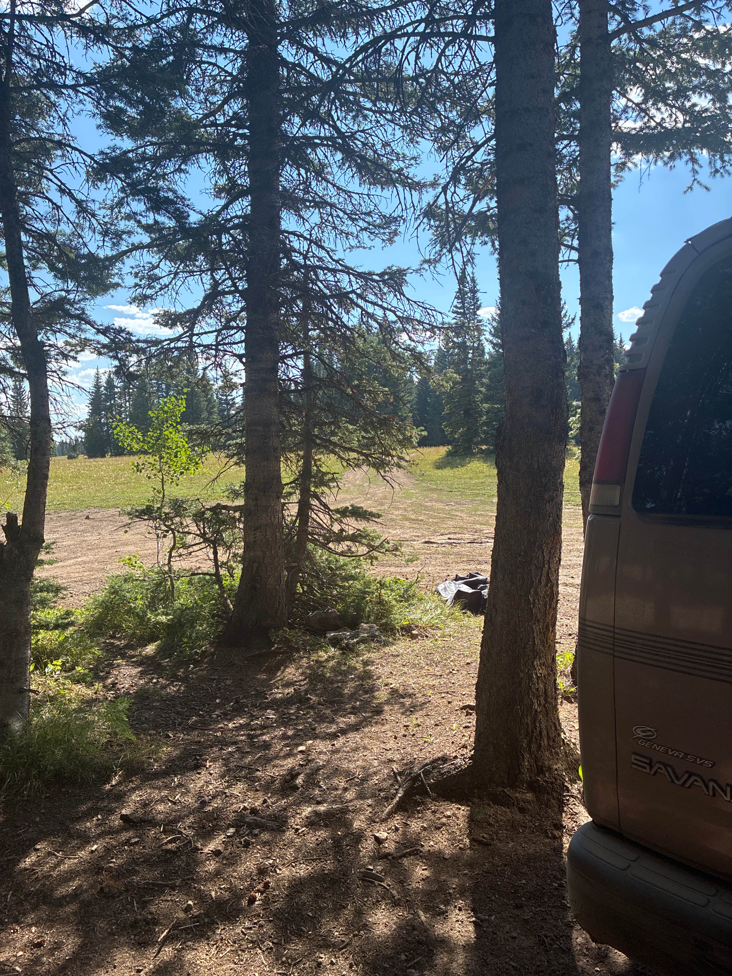 Camping near Flag Creek: white River National Forest, New Castle, Colorado
