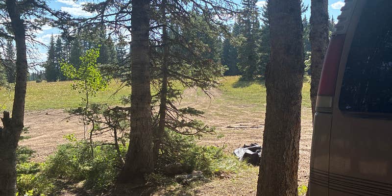 Camper submitted image from white River National Forest