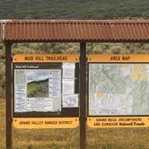 Review photo of White River National Forest dispersed by Vanessa C., July 19, 2025
