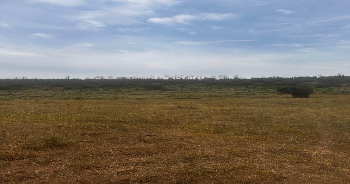 White River National Forest dispersed - Main photo