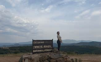 Vanessa C.'s photo of a dispersed camping area at White River National Forest dispersed near Meeker, CO