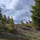 Review photo of White River National Forest Heaton Bay Campground by Tarrah C., May 29, 2024