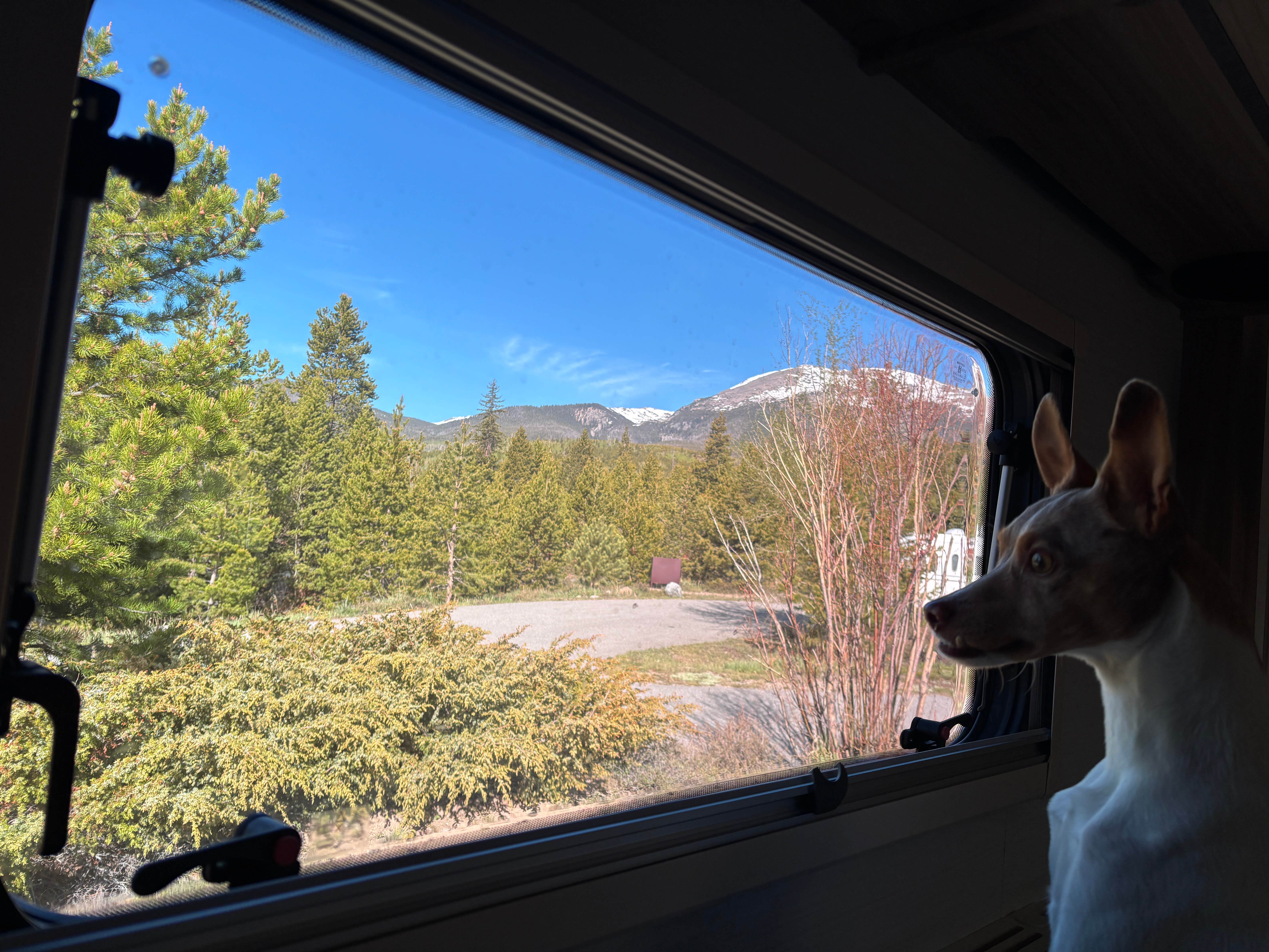 Mary H.'s photo of camping with pets at White River National Forest Heaton Bay Campground near Climax, CO